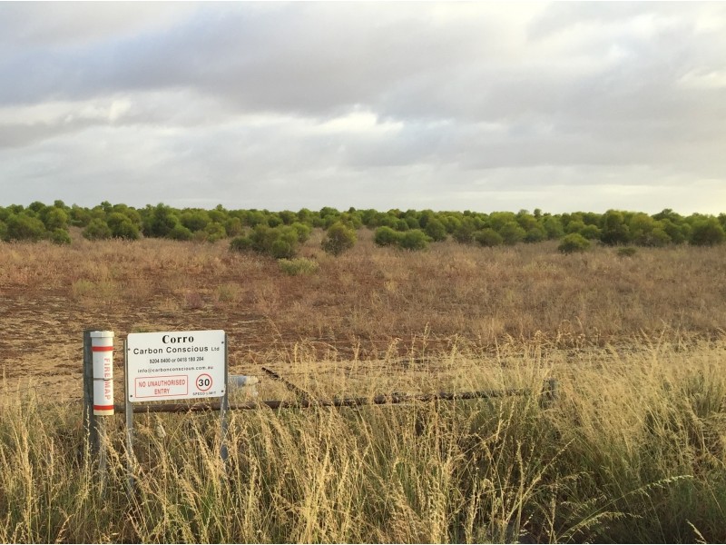 3808 Ogilvie Road West, Yallabatharra WA 6535