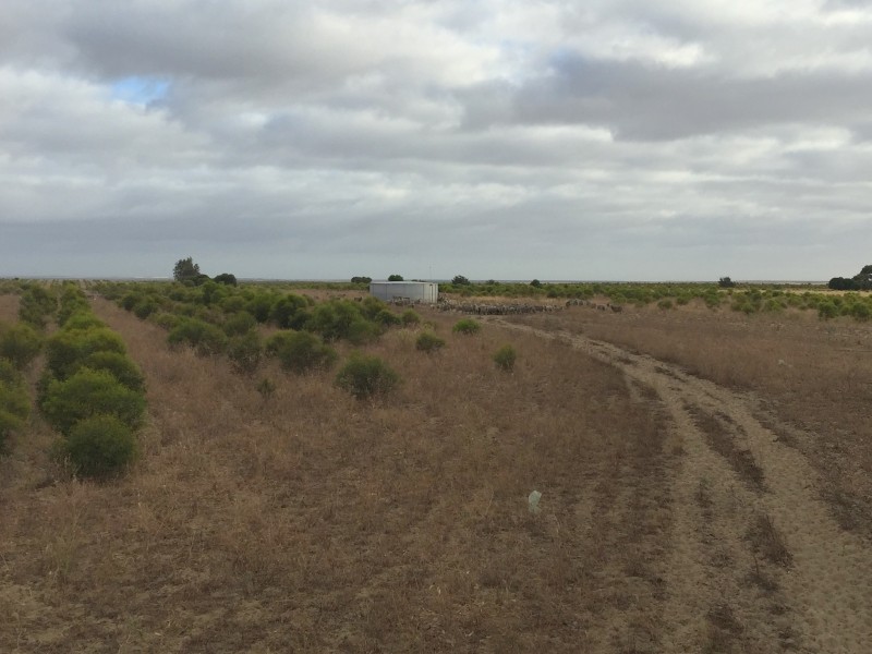 3808 Ogilvie Road West, Yallabatharra WA 6535