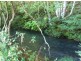 Brooklet NSW 2479