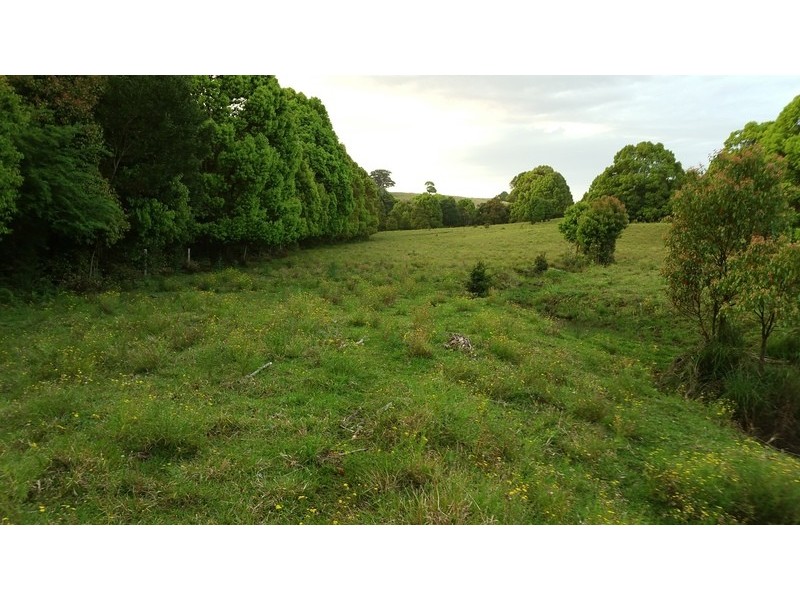 Brooklet NSW 2479