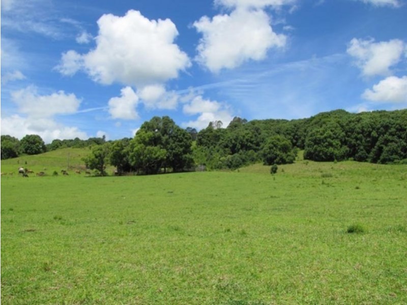 Brooklet NSW 2479
