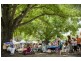Brooklet NSW 2479
