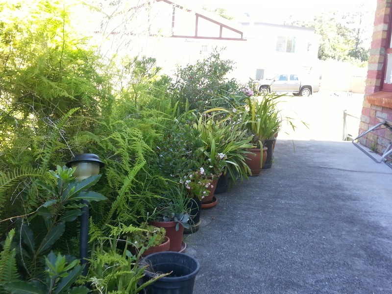 5 Bolt Street, Shoalhaven Heads NSW 2535