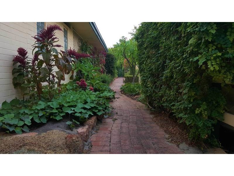 7/2 Queens Crescent, Mount Lawley WA 6050