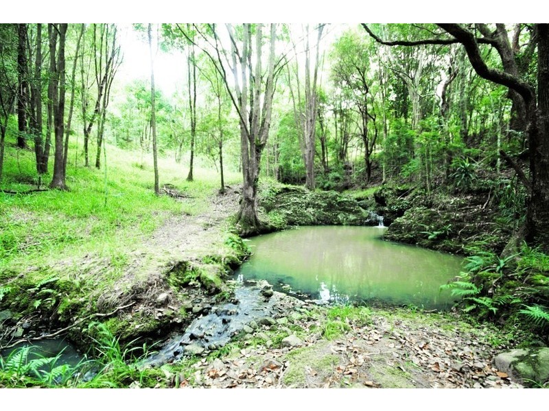 5 Wongaree Way, Currumbin Valley QLD 4223