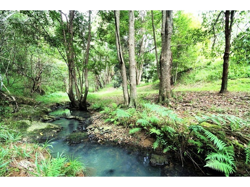 5 Wongaree Way, Currumbin Valley QLD 4223