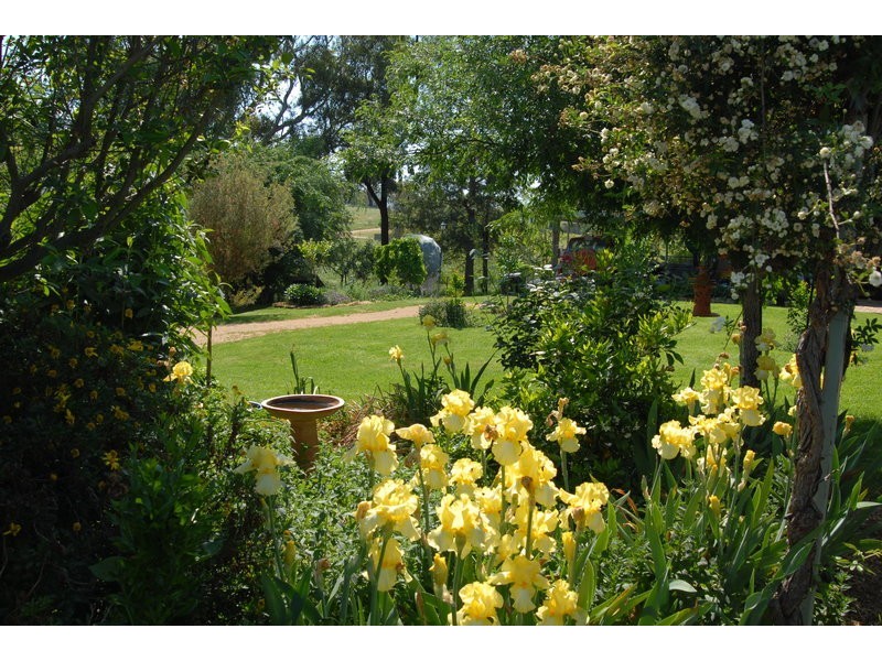 142 Clearview Road, Darbys Falls NSW 2793