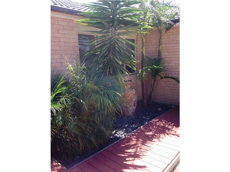 6 Redgum Avenue, Trafalgar VIC 3824