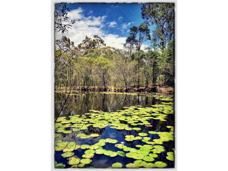 Lot 139 Joseski Road, Agnes Water QLD 4677