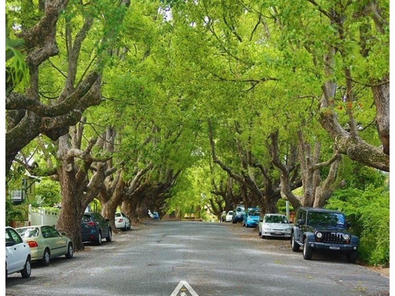 6/111 Moreton Street, New Farm QLD 4005