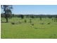 3094 Mosquito Creek Road, Mosquito Creek QLD 4387