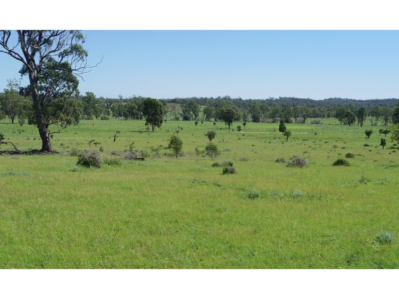 3094 Mosquito Creek Road, Mosquito Creek QLD 4387