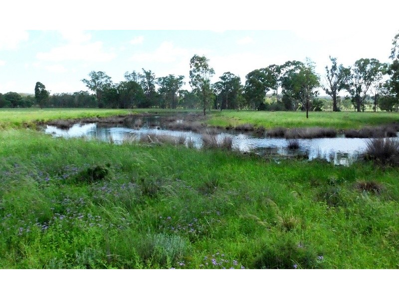 3094 Mosquito Creek Road, Mosquito Creek QLD 4387