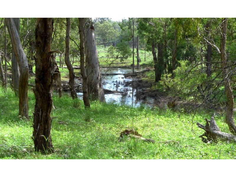 3094 Mosquito Creek Road, Mosquito Creek QLD 4387