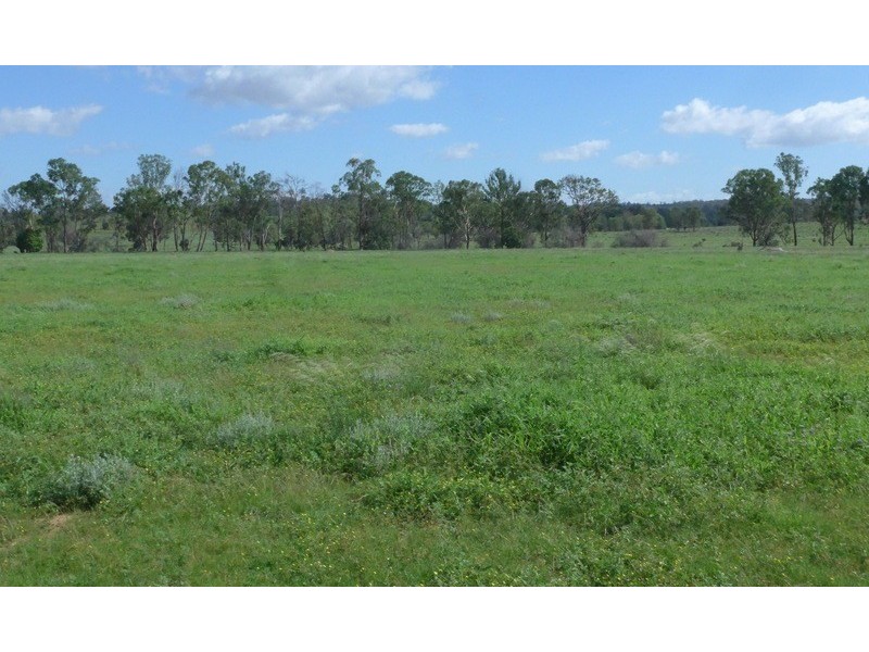 3094 Mosquito Creek Road, Mosquito Creek QLD 4387