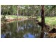 3094 Mosquito Creek Road, Mosquito Creek QLD 4387