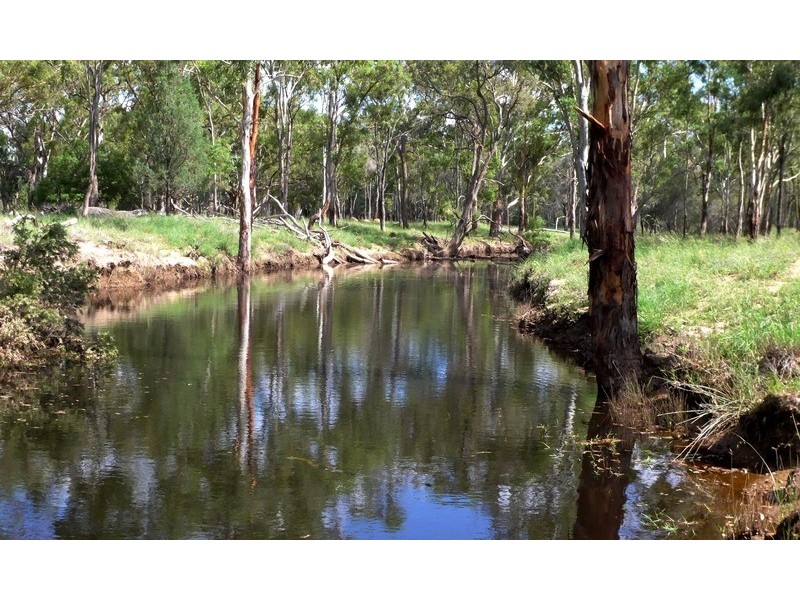 3094 Mosquito Creek Road, Mosquito Creek QLD 4387