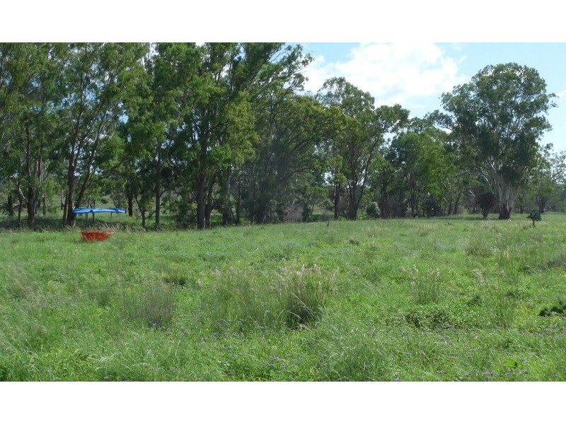 3094 Mosquito Creek Road, Mosquito Creek QLD 4387