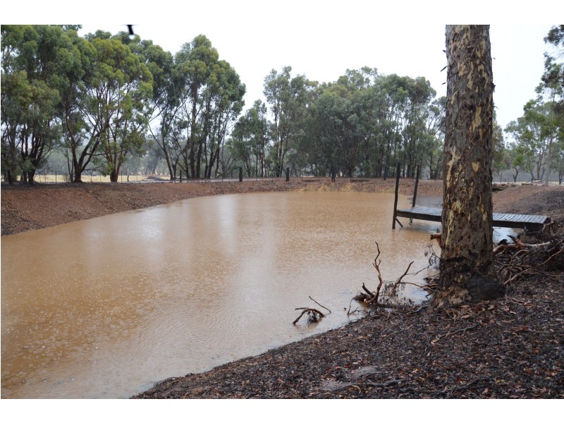 124 Mistletoe View, Crossman WA 6390