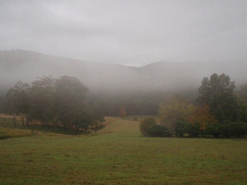 674 Harness Cask Road, Tyringham NSW 2453