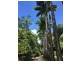 203 Ellis Road, Bellenden Ker QLD 4871