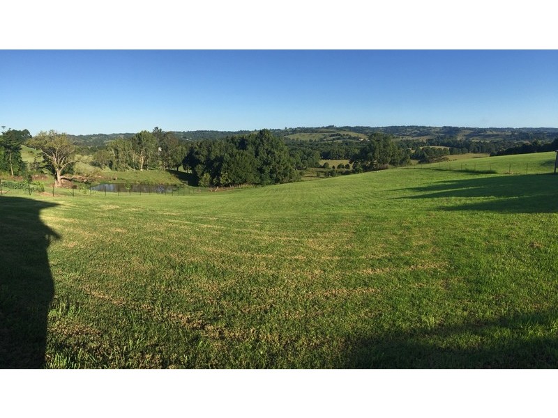 55 Federation Drive, Eltham NSW 2480