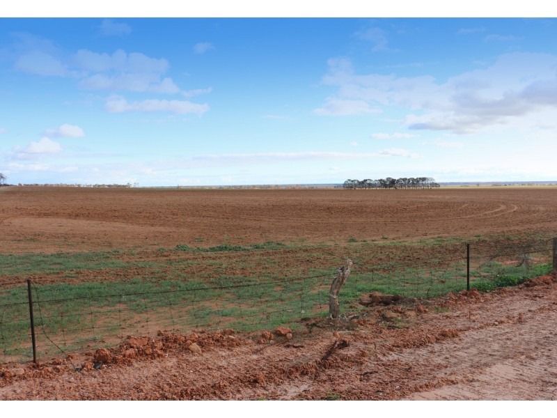 409 Roennfeldt Road, Wasleys SA 5400