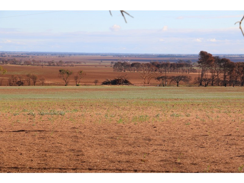 409 Roennfeldt Road, Wasleys SA 5400