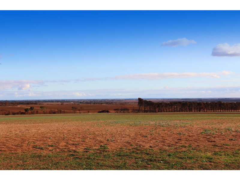 409 Roennfeldt Road, Wasleys SA 5400