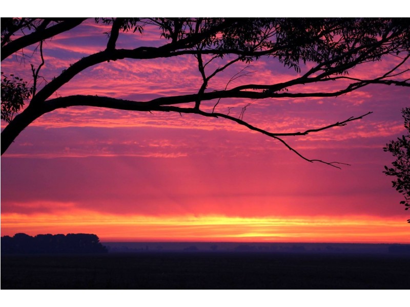 409 Roennfeldt Road, Wasleys SA 5400