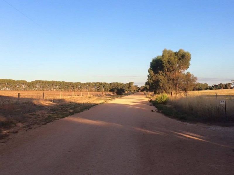 409 Roennfeldt Road, Wasleys SA 5400