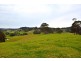 123 Brushgrove Lane, Central Tilba NSW 2546
