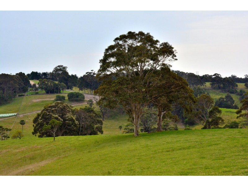 123 Brushgrove Lane, Central Tilba NSW 2546