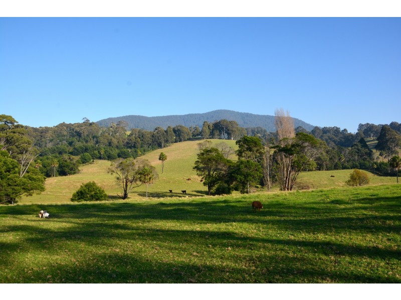 123 Brushgrove Lane, Central Tilba NSW 2546