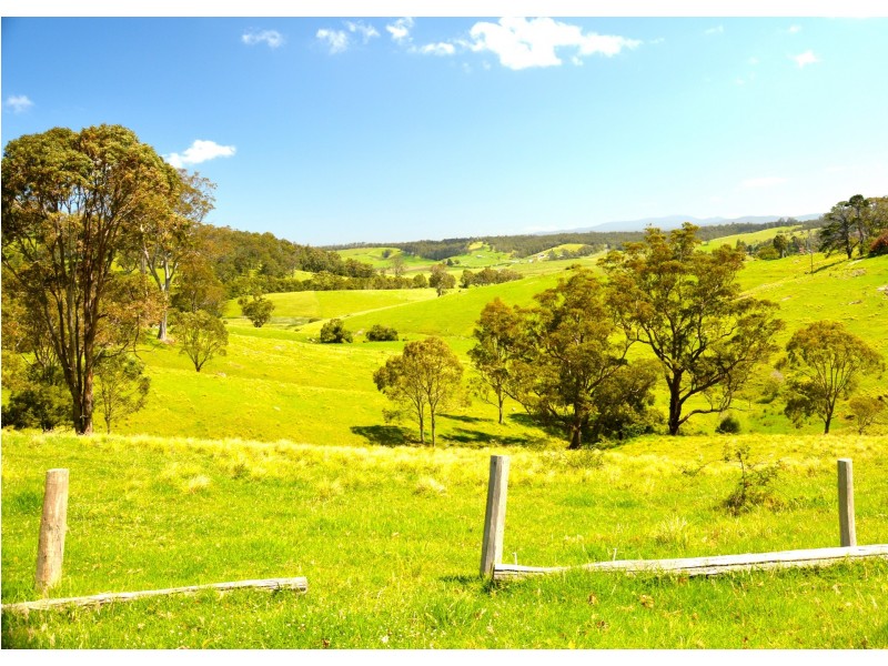 123 Brushgrove Lane, Central Tilba NSW 2546