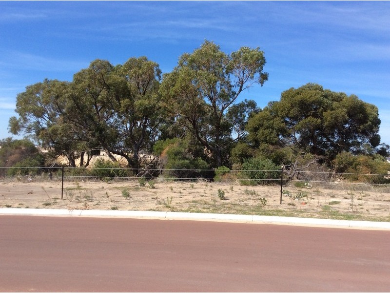 39 Barringarra Councourse, Madora Bay WA 6210