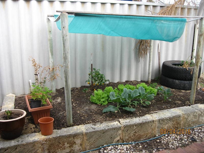 22 Mackay Place, Cooloongup WA 6168