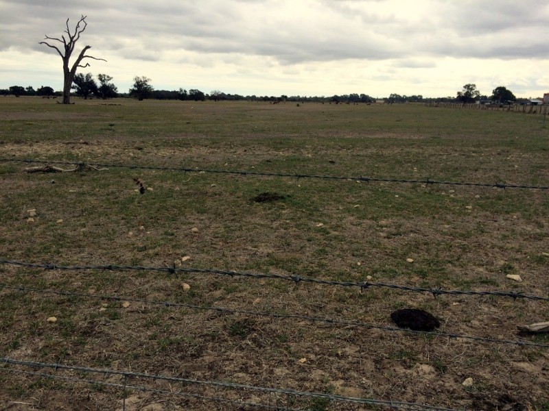 Lot 402 Punrak Rd, Hopeland WA 6125