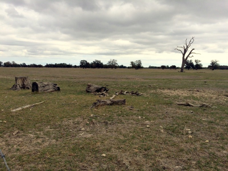 Lot 402 Punrak Rd, Hopeland WA 6125