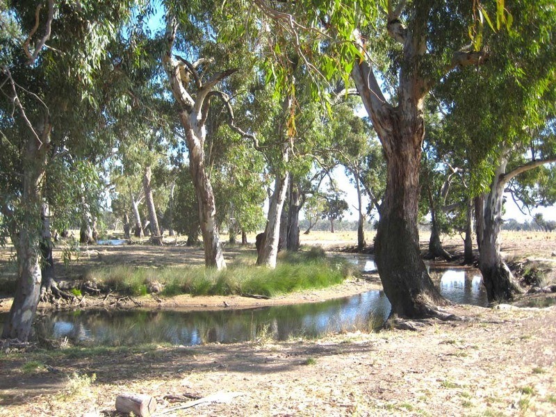 789 Nagambie-Locksley Road, Nagambie VIC 3608