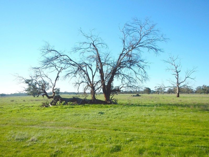 789 Nagambie-Locksley Road, Nagambie VIC 3608