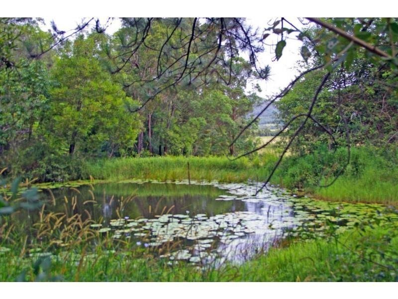 8 Pearce Drive, Maroochy River QLD 4561