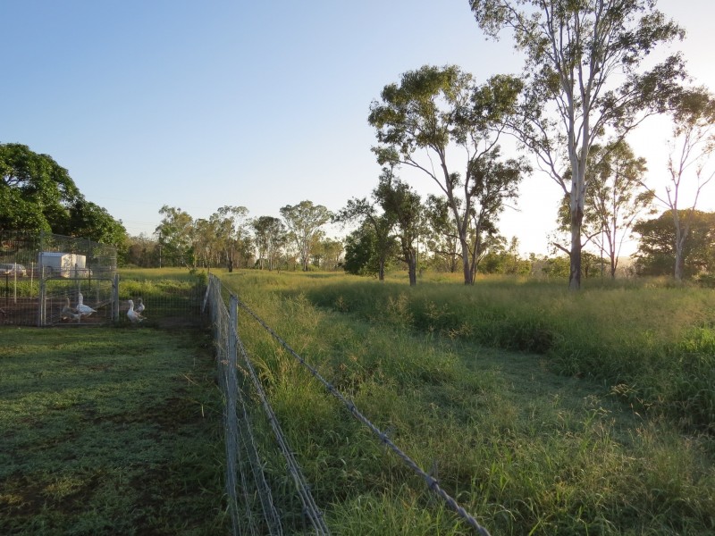 966 Emu Park Road, Nankin QLD 4701
