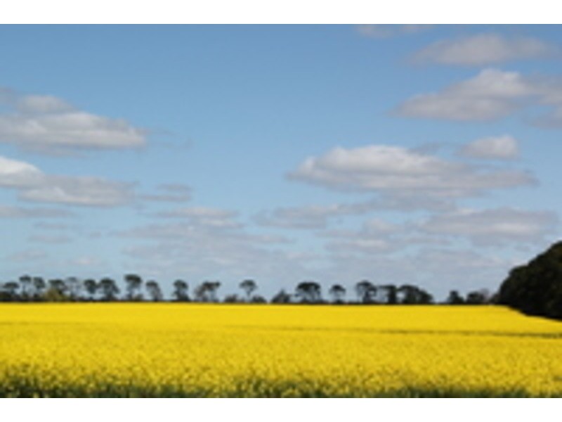 Lot 31/2070 Romsey Place, Romsey VIC 3434