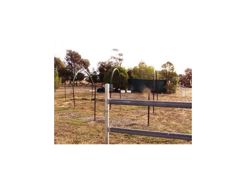 Wallumbilla QLD 4428