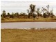 Wallumbilla QLD 4428