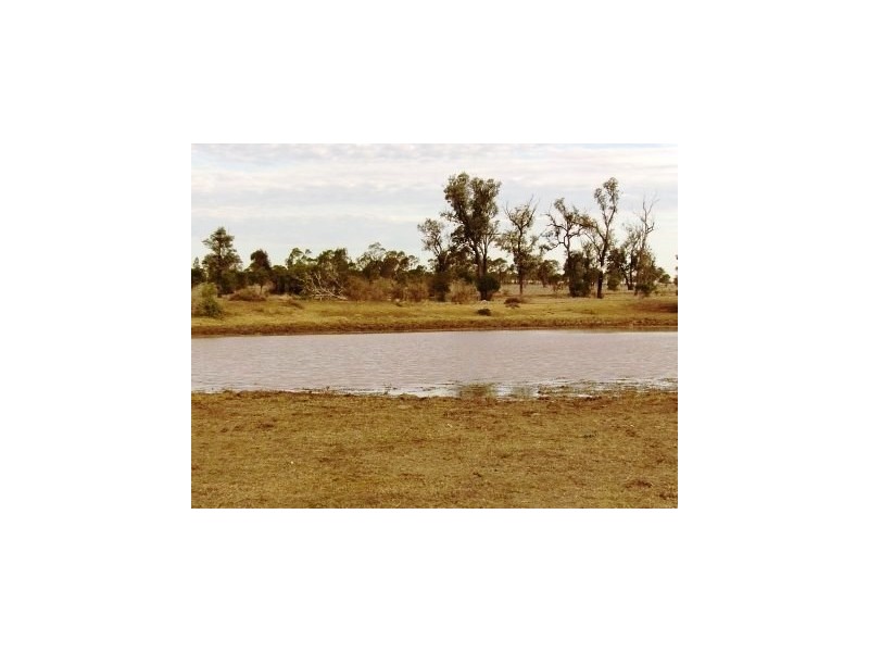 Wallumbilla QLD 4428