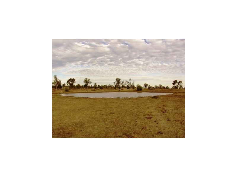 Wallumbilla QLD 4428
