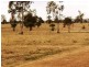 Wallumbilla QLD 4428