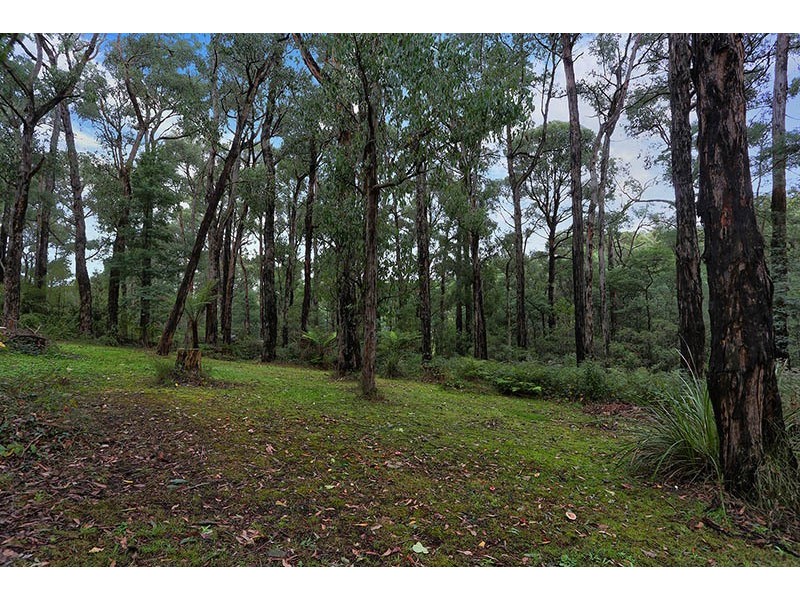 18 Glen Road, Cockatoo VIC 3781